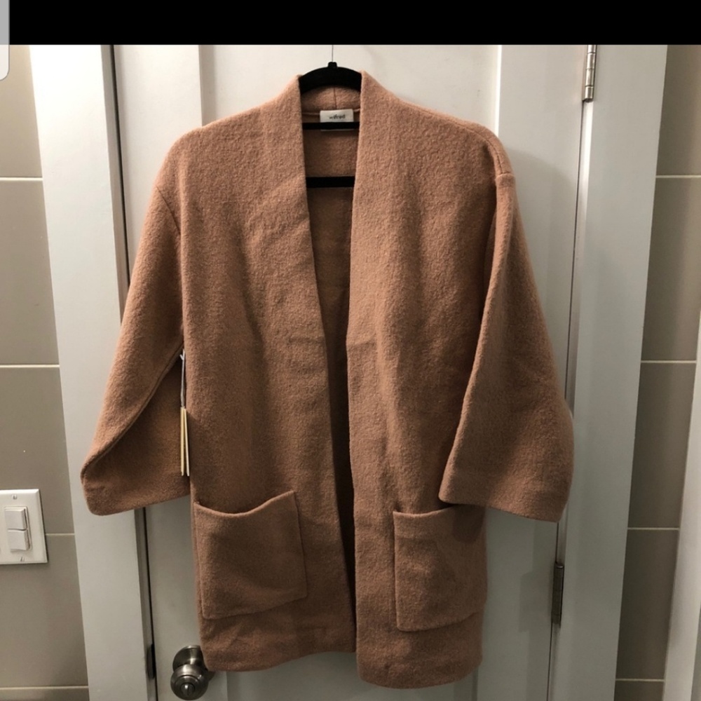 Aritzia Blush Coat